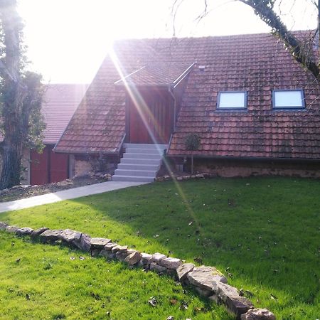 Joli Gite F2 Independant Avec Jardin Prive Rouffach Zewnętrze zdjęcie