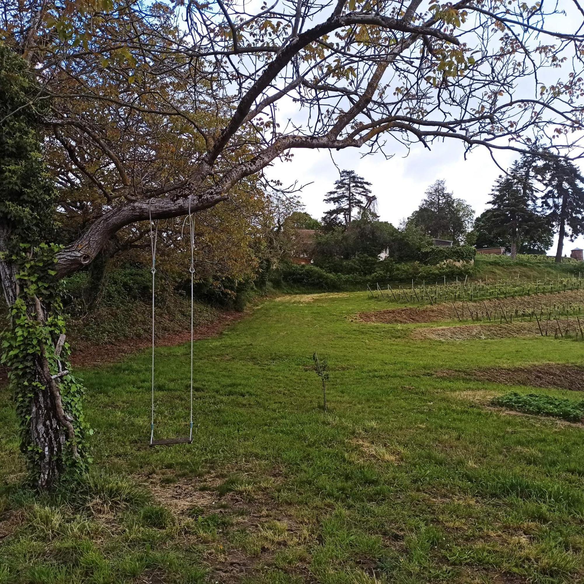 Joli Gite F2 Independant Avec Jardin Prive Rouffach Zewnętrze zdjęcie