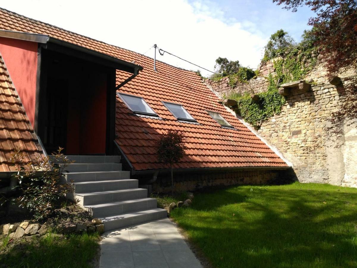 Joli Gite F2 Independant Avec Jardin Prive Rouffach Zewnętrze zdjęcie